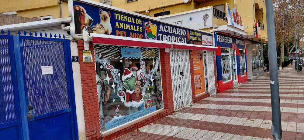 Acuario Tropical