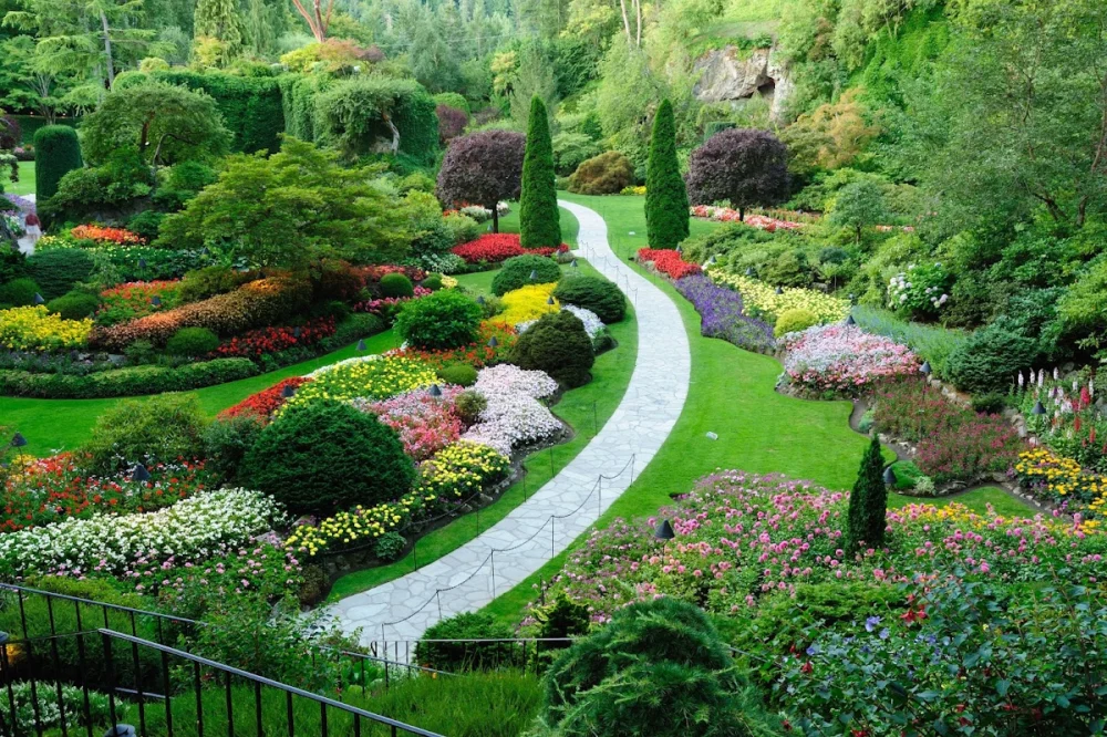 AdriJardineria Landscaping Studio