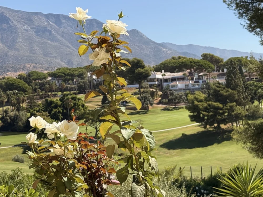Aloha Golf Club - 2