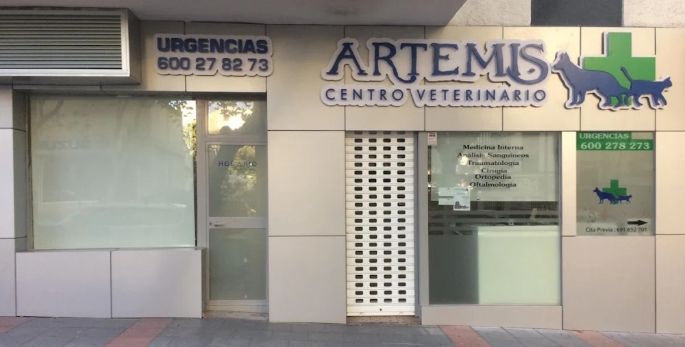 Artemis