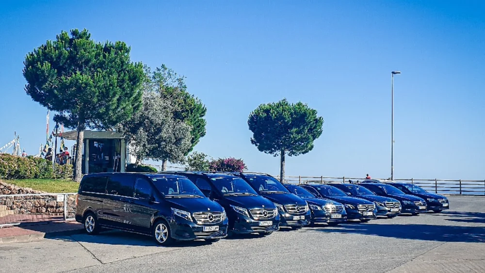 Banús Limousine Services, S. L.