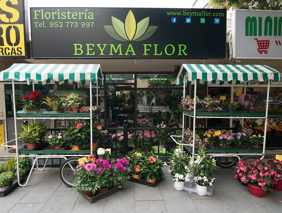 Florists in Marbella, Beyma Flor
