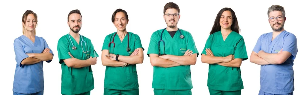GreenVet Animal Hospital | Veterinario en Marbella