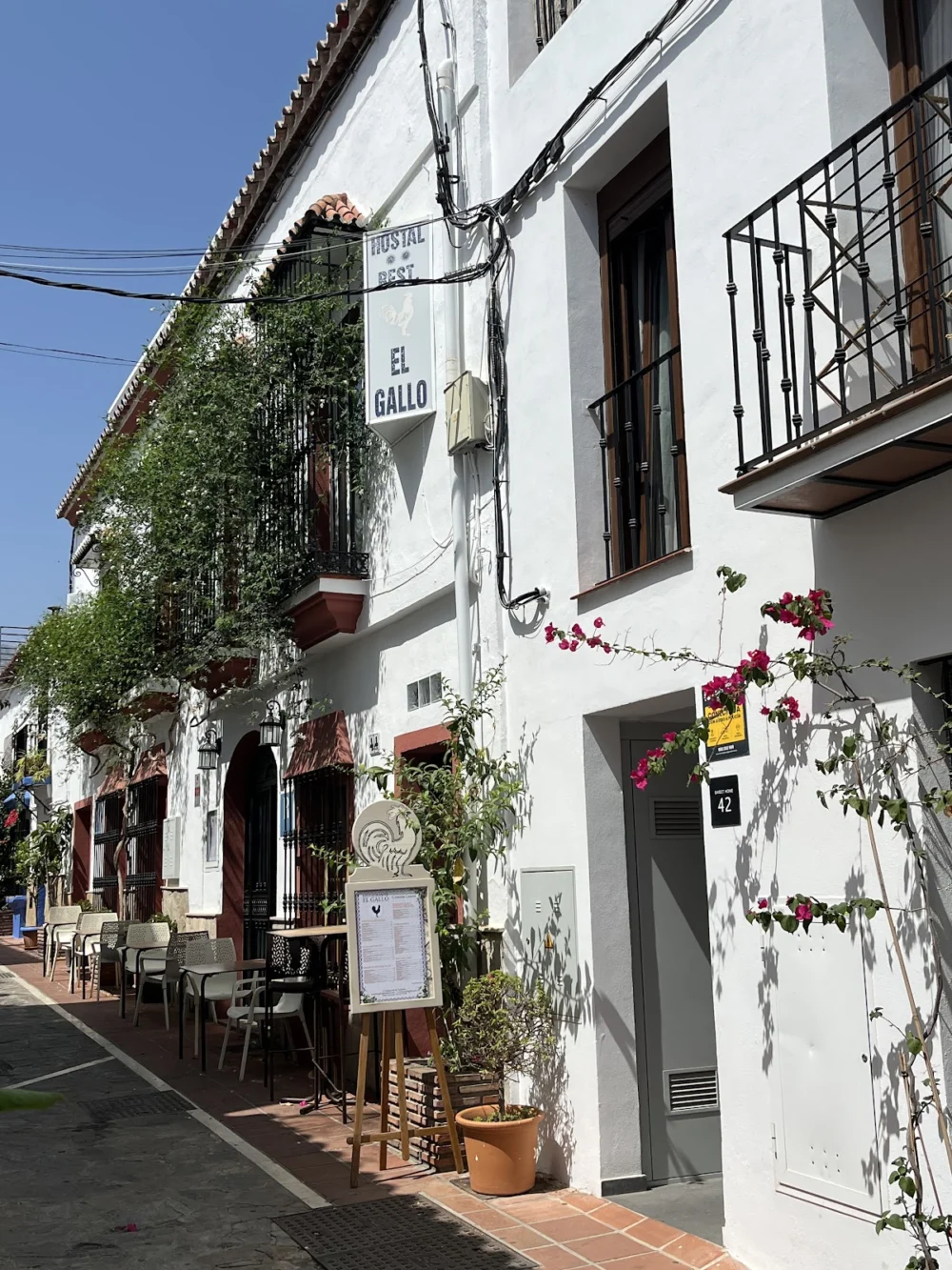 Hostal El Gallo - 5