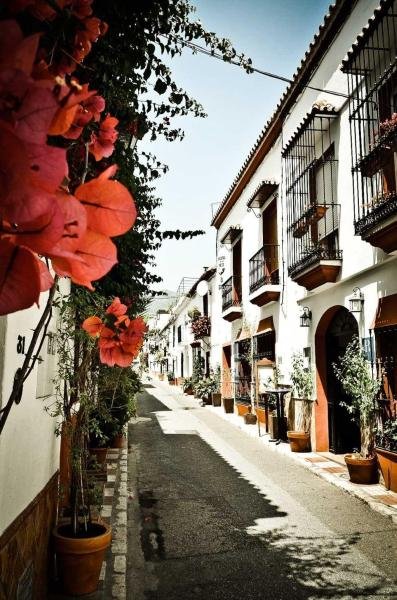 Hostal El Gallo - 6