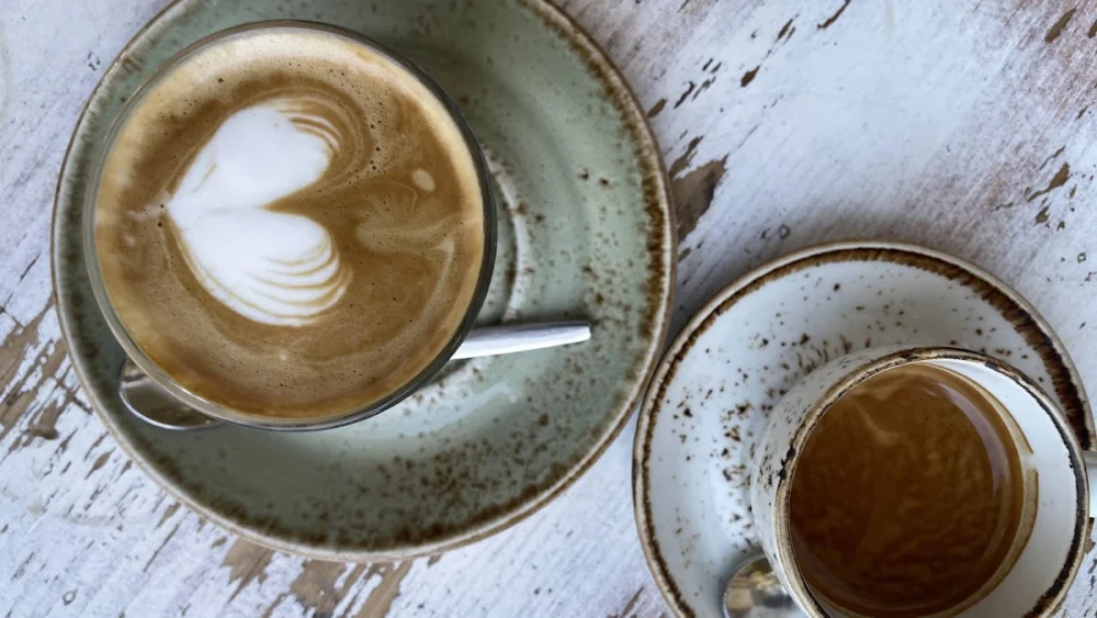 Purolatte - 6