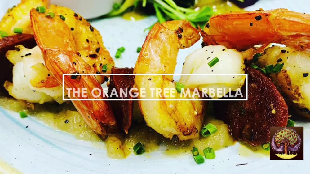The Orange Tree - 6