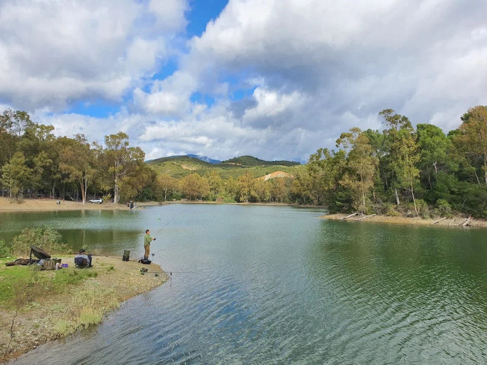 Turtle lake