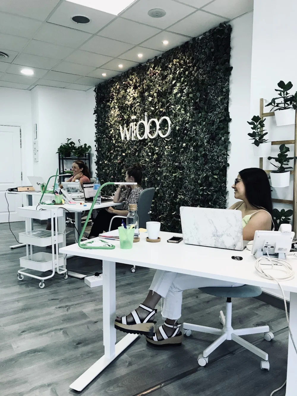 Wiidoo Media WordPress Designers