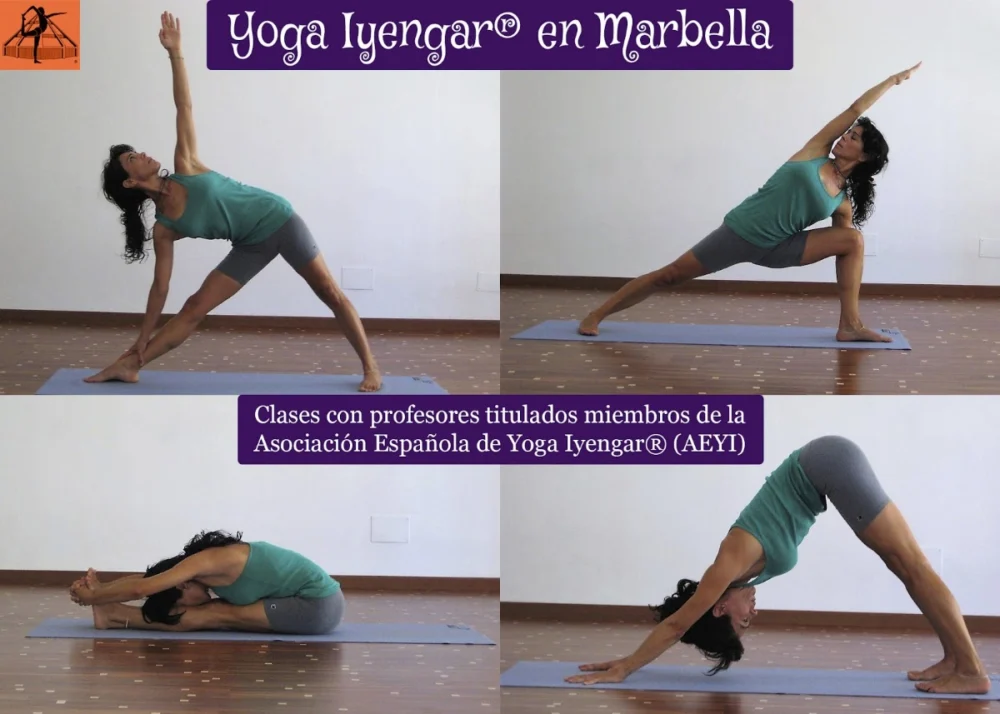 Yoga Iyengar